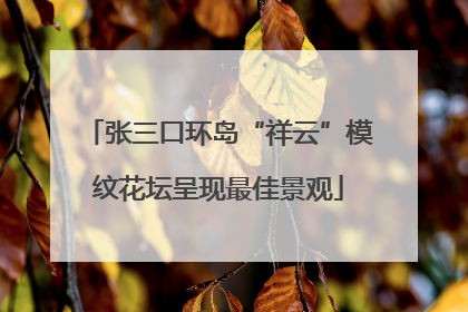 张三口环岛“祥云”模纹花坛呈现最佳景观