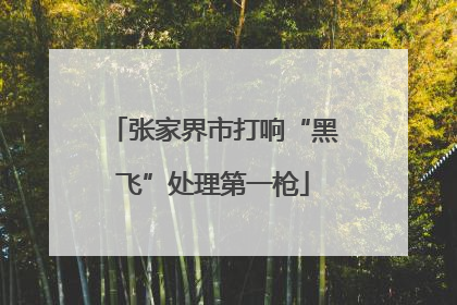 张家界市打响“黑飞”处理第一枪