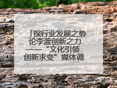 探行业发展之势 论李渡创新之力——“文化引领 创新求变”媒体调研行举办