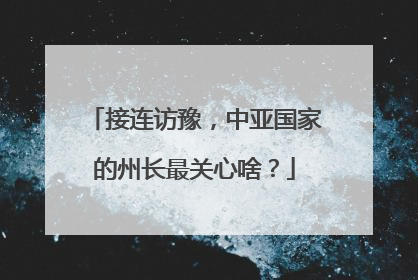 接连访豫，中亚国家的州长最关心啥？
