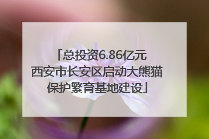 总投资6.86亿元 西安市长安区启动大熊猫保护繁育基地建设