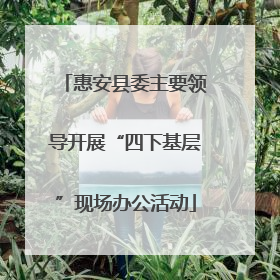 惠安县委主要领导开展“四下基层”现场办公活动