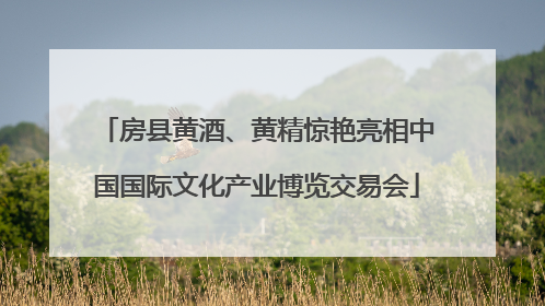 房县黄酒、黄精惊艳亮相中国国际文化产业博览交易会