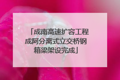 成南高速扩容工程成阿分离式立交桥钢箱梁架设完成