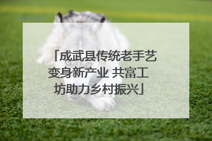 成武县传统老手艺变身新产业 共富工坊助力乡村振兴