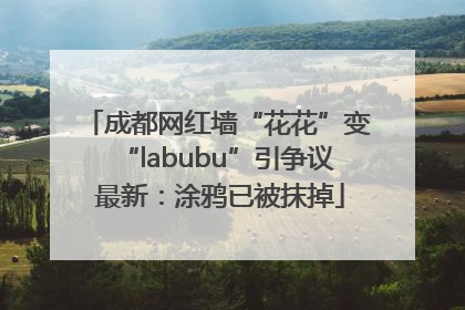 成都网红墙“花花”变“labubu”引争议 最新：涂鸦已被抹掉