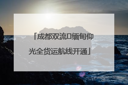 成都双流⇌缅甸仰光全货运航线开通