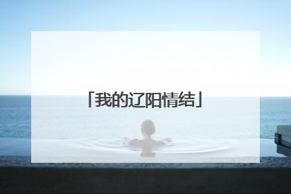 我的辽阳情结