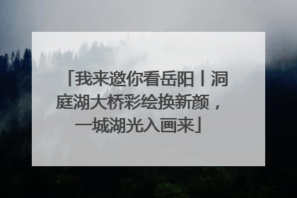 我来邀你看岳阳丨洞庭湖大桥彩绘换新颜，一城湖光入画来