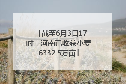 截至6月3日17时，河南已收获小麦6332.5万亩