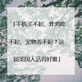 手机买不起、炸鸡吃不起、宠物养不起？这届美国人活得好难