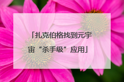 扎克伯格找到元宇宙“杀手级”应用
