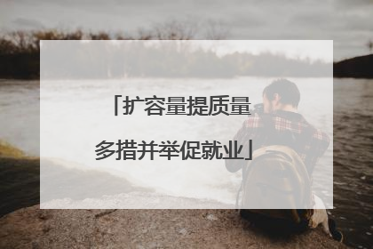 扩容量提质量 多措并举促就业