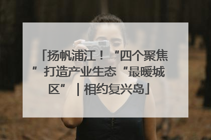 扬帆浦江！“四个聚焦”打造产业生态“最暖城区”｜相约复兴岛