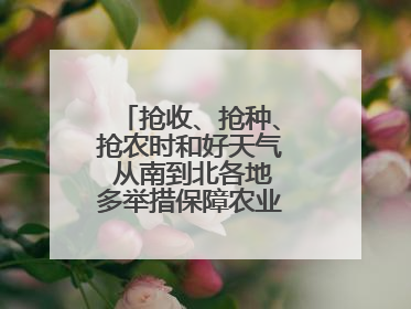 抢收、抢种、抢农时和好天气 从南到北各地多举措保障农业生产顺利进行