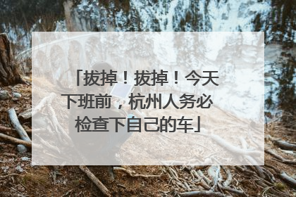 拔掉！拔掉！今天下班前，杭州人务必检查下自己的车