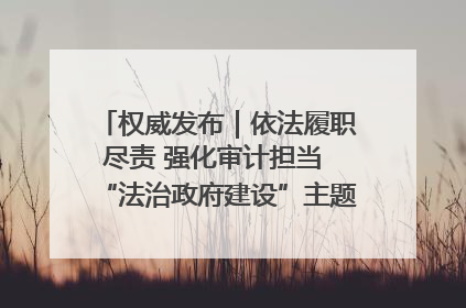 权威发布｜依法履职尽责 强化审计担当 “法治政府建设”主题系列新闻发布会市审计局专场召开