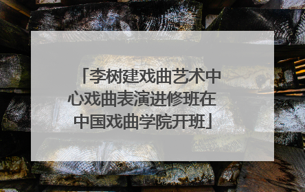 李树建戏曲艺术中心戏曲表演进修班在中国戏曲学院开班