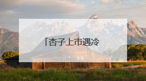 杏子上市遇冷 昔日“当家水果”为何“失宠”？