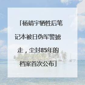 杨靖宇牺牲后笔记本被日伪军警掳走，尘封85年的档案首次公布
