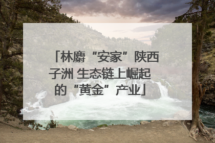林麝“安家”陕西子洲 生态链上崛起的“黄金”产业