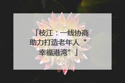 枝江：一线协商助力打造老年人“幸福港湾”