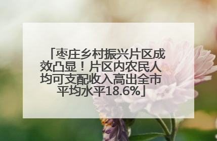 枣庄乡村振兴片区成效凸显！片区内农民人均可支配收入高出全市平均水平18.6%