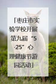 枣庄市实验学校开展第九届“5·25”心理健康节游园活动