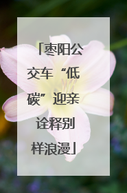 枣阳公交车“低碳”迎亲 诠释别样浪漫
