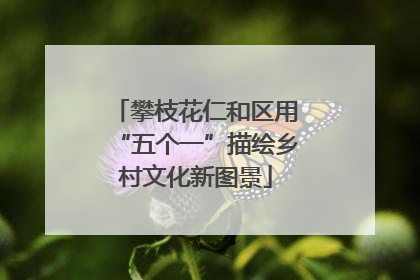 攀枝花仁和区用“五个一”描绘乡村文化新图景
