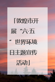 敦煌市开展“六·五”世界环境日主题宣传活动
