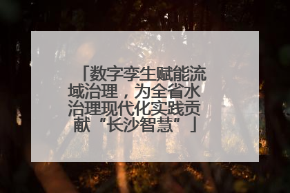 数字孪生赋能流域治理，为全省水治理现代化实践贡献“长沙智慧”