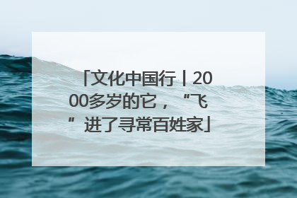 文化中国行丨2000多岁的它，“飞”进了寻常百姓家