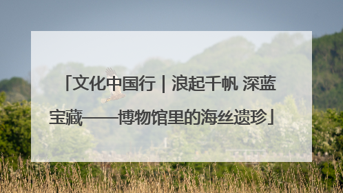 文化中国行｜浪起千帆 深蓝宝藏——博物馆里的海丝遗珍