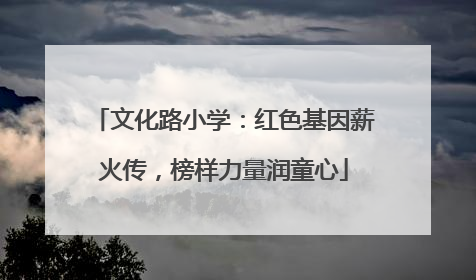 文化路小学：红色基因薪火传，榜样力量润童心