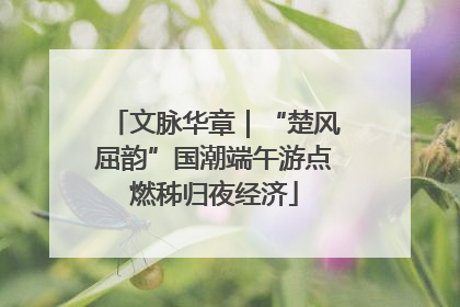 文脉华章｜“楚风屈韵”国潮端午游点燃秭归夜经济