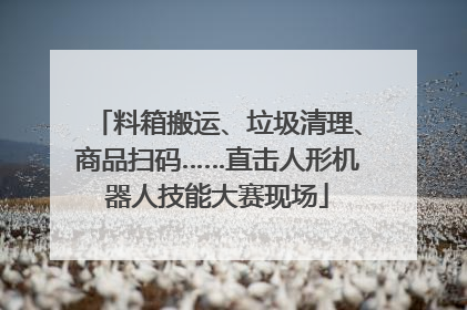 料箱搬运、垃圾清理、商品扫码……直击人形机器人技能大赛现场