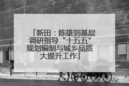新田：陈雄到基层调研指导“十五五”规划编制与城乡品质大提升工作