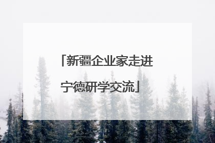 新疆企业家走进宁德研学交流