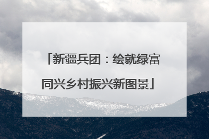 新疆兵团：绘就绿富同兴乡村振兴新图景