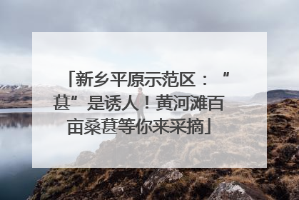 新乡平原示范区：“葚”是诱人！黄河滩百亩桑葚等你来采摘