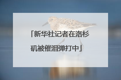 新华社记者在洛杉矶被催泪弹打中