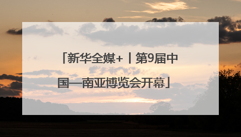 新华全媒+丨第9届中国—南亚博览会开幕