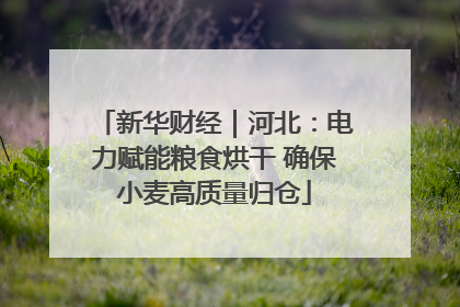 新华财经｜河北：电力赋能粮食烘干 确保小麦高质量归仓