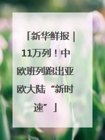 新华鲜报｜11万列！中欧班列跑出亚欧大陆“新时速”