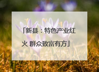 新县：特色产业红火 群众致富有方