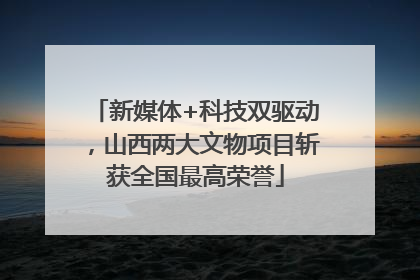 新媒体+科技双驱动，山西两大文物项目斩获全国最高荣誉