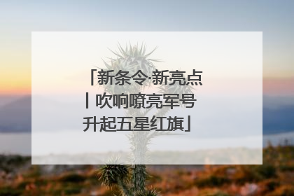 新条令·新亮点丨吹响嘹亮军号 升起五星红旗