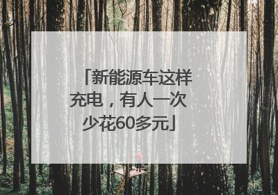新能源车这样充电，有人一次少花60多元