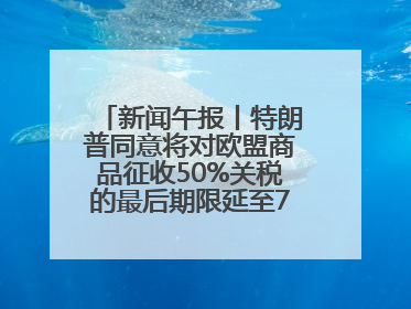 新闻午报丨特朗普同意将对欧盟商品征收50%关税的最后期限延至7月9日；00后舞蹈老师“花式”推介家乡岳阳>>
